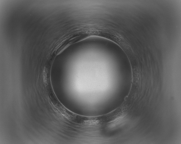 X0000054420266200507291257