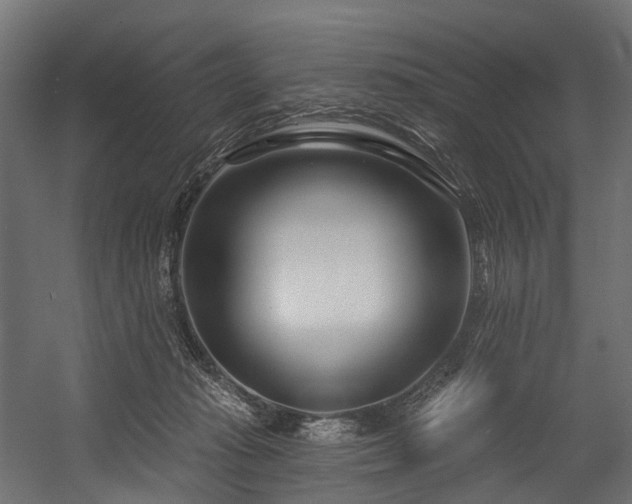 X0000054420269200507291257