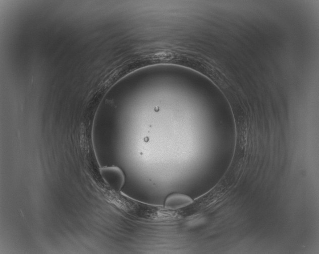 X0000054420270200507291257