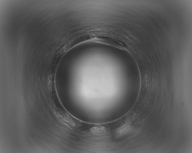 X0000054420271200507291257