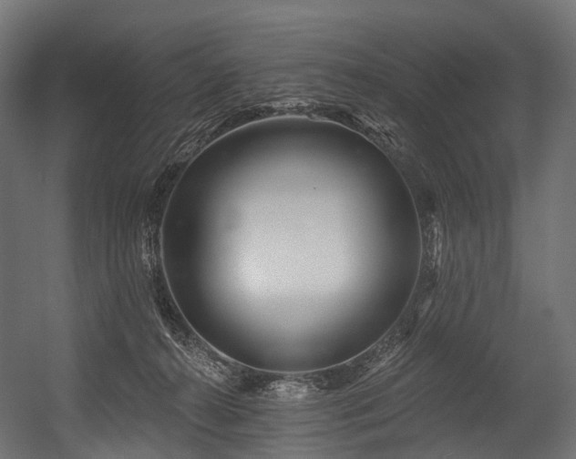 X0000054420272200507291257