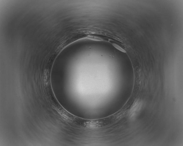 X0000054420273200507291257