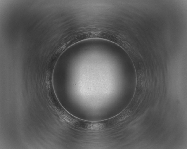 X0000054420274200507291257