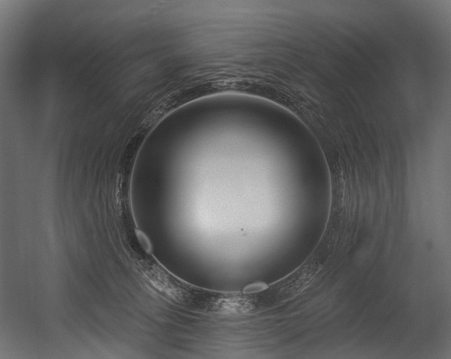 X0000054420275200507291257