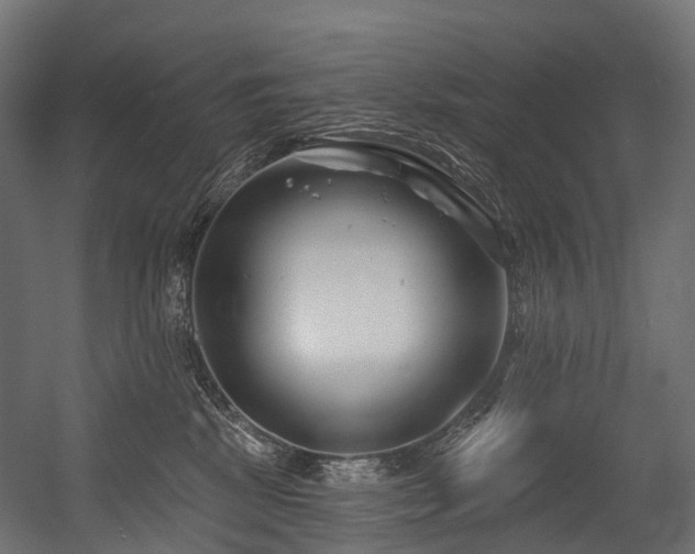 X0000054420281200507291257