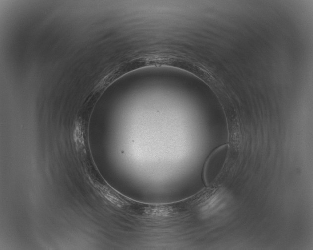 X0000054420282200507291257