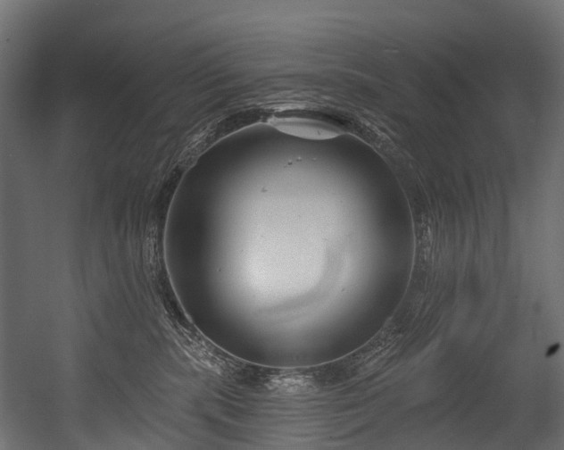 X0000054420283200507291257