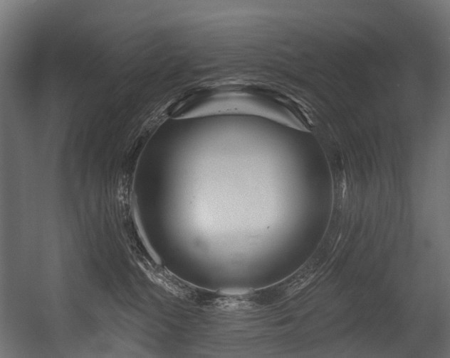 X0000054420284200507291257