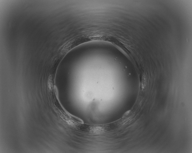 X0000054420287200507291257