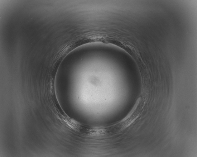 X0000054420288200507291257