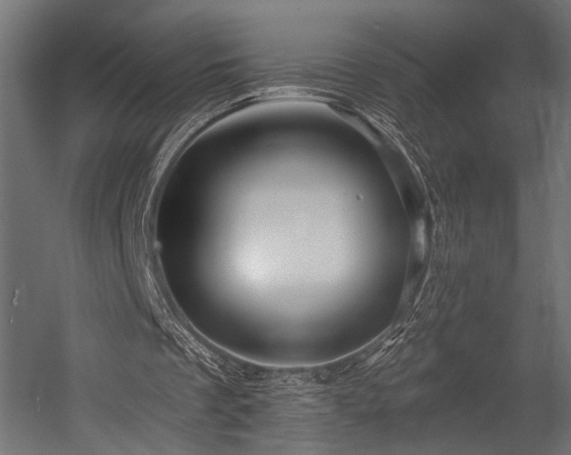 X0000054420289200507291256