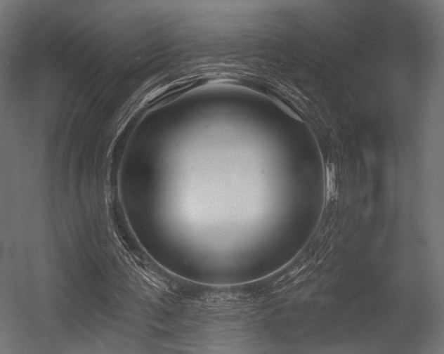 X0000054420291200507291256