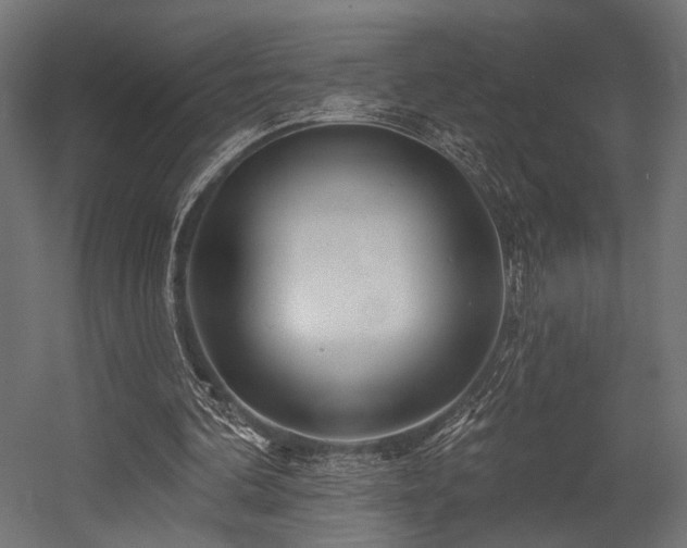 X0000054420292200507291256