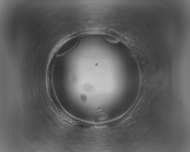 X0000054420294200507291256