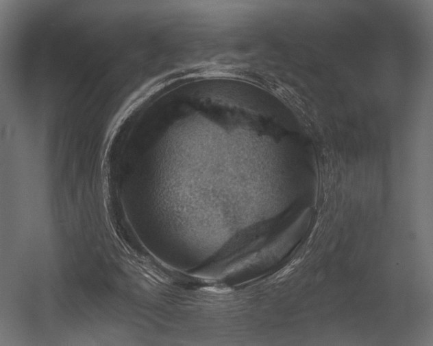 X0000054420295200507291256