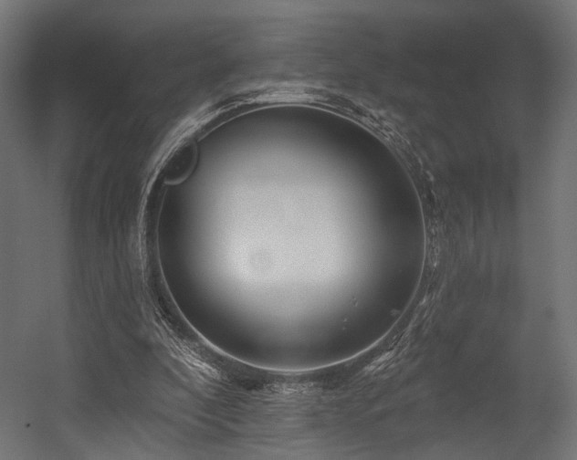 X0000054420296200507291256