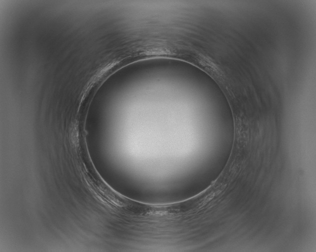 X0000054420298200507291256