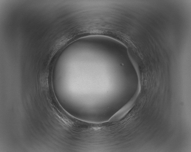 X0000054420299200507291256