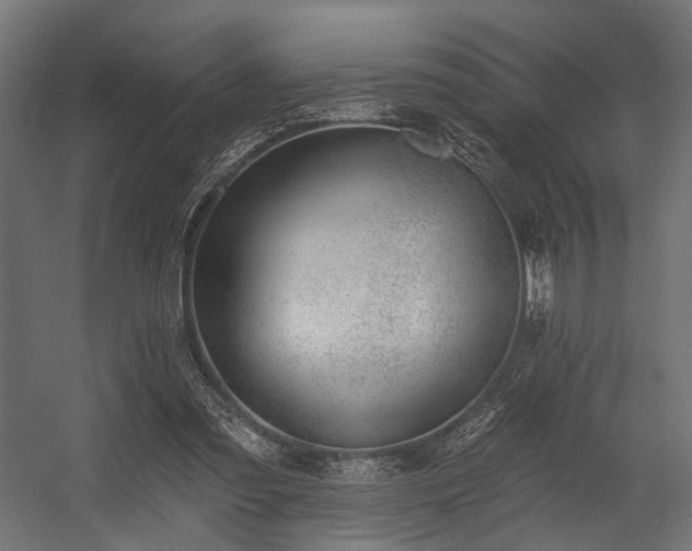 X0000054420301200507291256