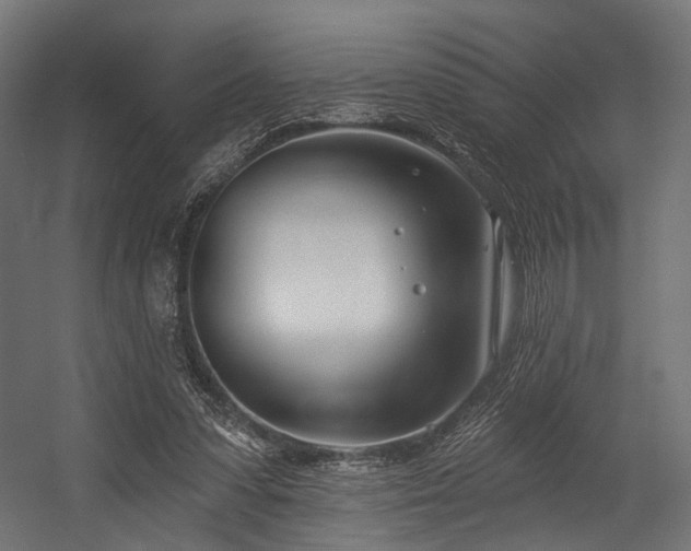 X0000054420303200507291256