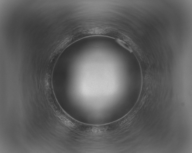 X0000054420305200507291256