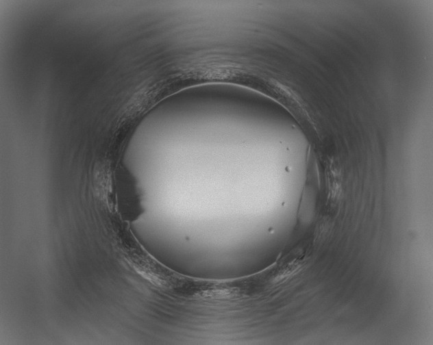 X0000054420307200507291256