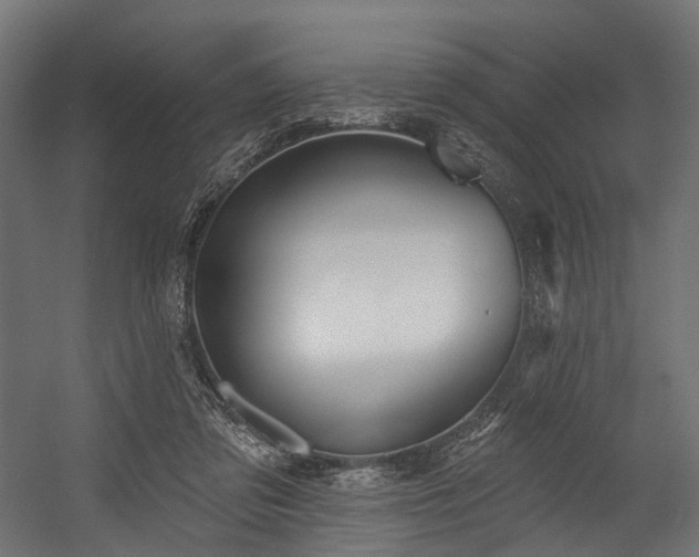 X0000054420309200507291256