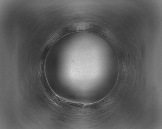 X0000054420311200507291256