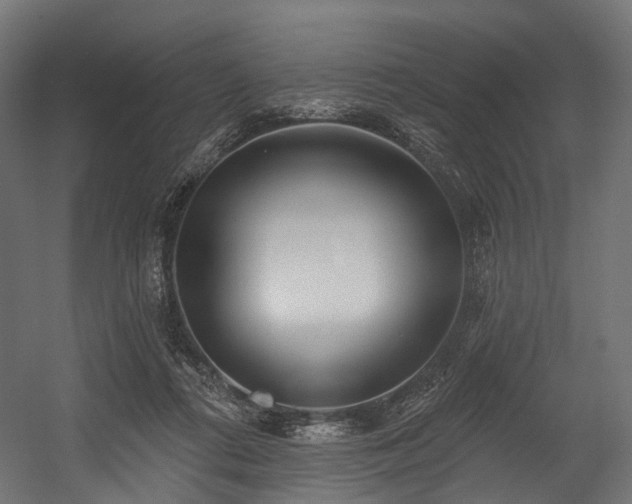 X0000054420312200507291256