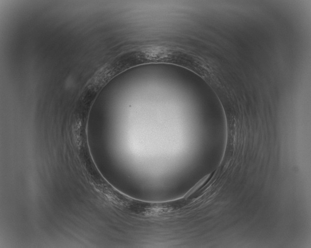 X0000054420319200507291256