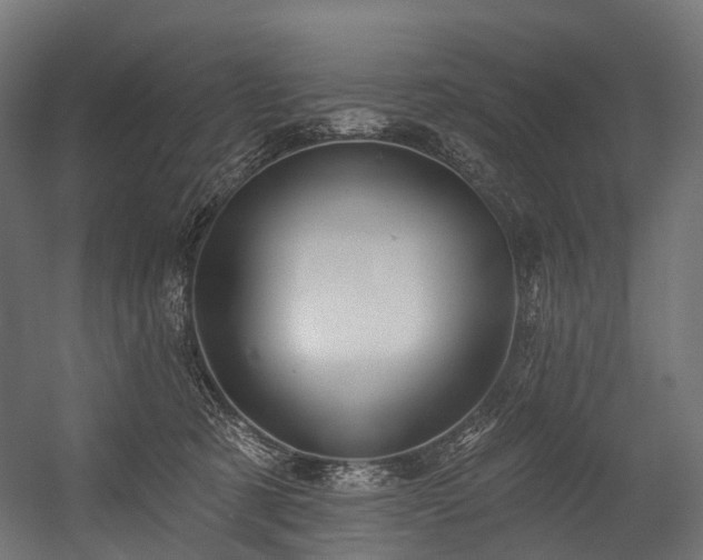 X0000054420321200507291256