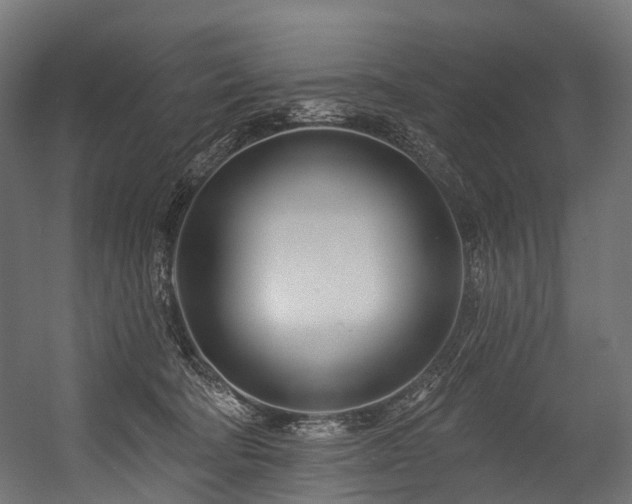 X0000054420322200507291256