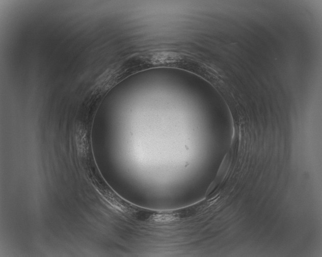 X0000054420327200507291256