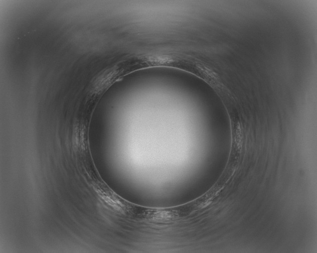 X0000054420330200507291255