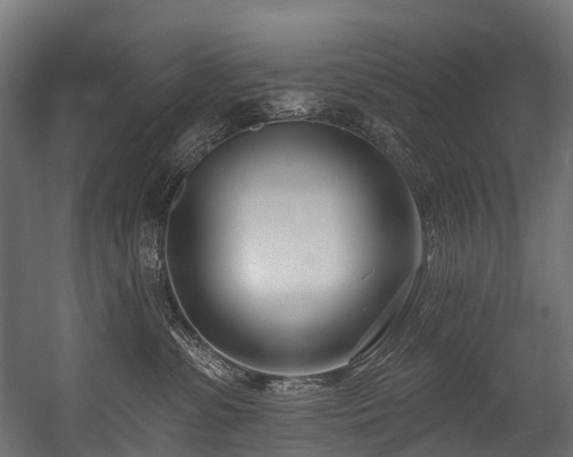 X0000054420331200507291255