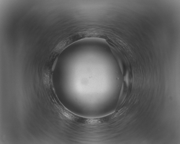 X0000054420333200507291255