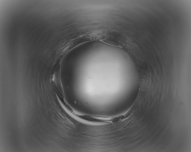 X0000054420335200507291255