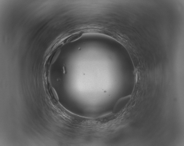 X0000054420339200507291255