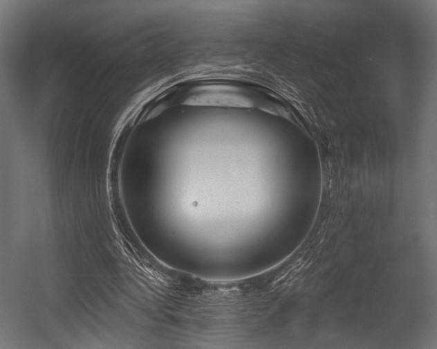 X0000054420340200507291255