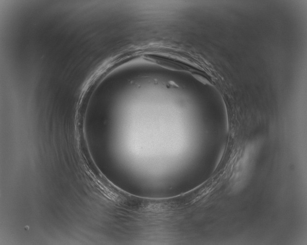 X0000054420341200507291255