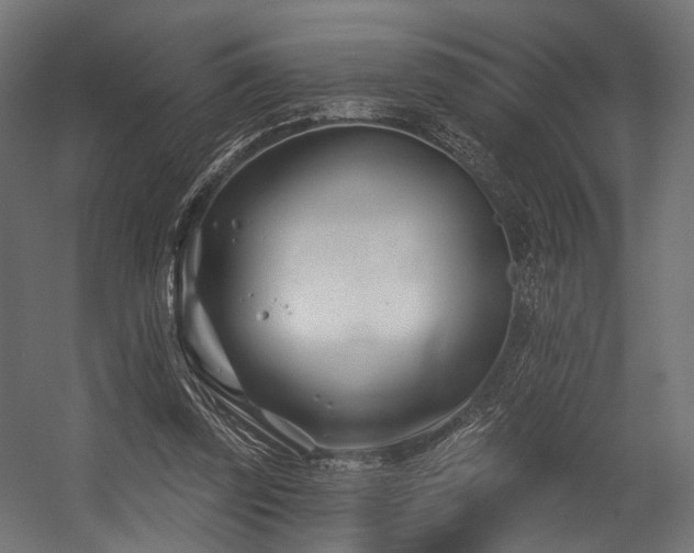 X0000054420347200507291255