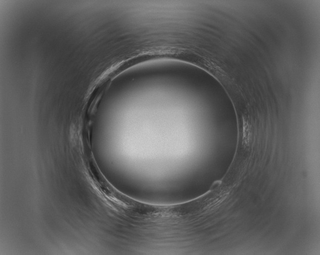 X0000054420348200507291255