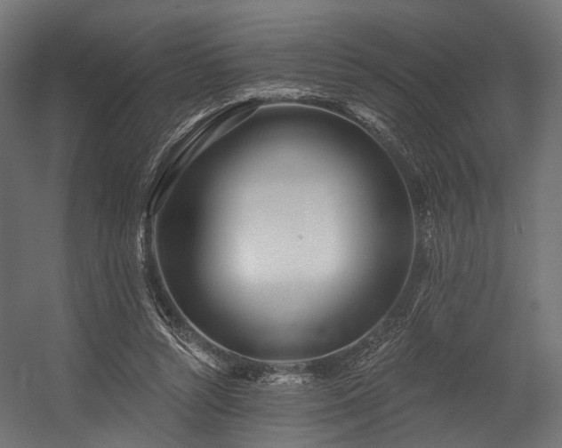 X0000054420352200507291255