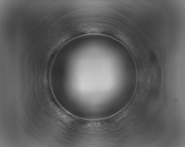 X0000054420353200507291255