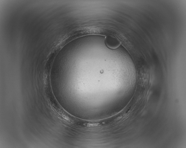 X0000054420355200507291255