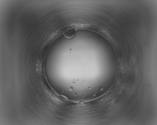 X0000054420357200507291255