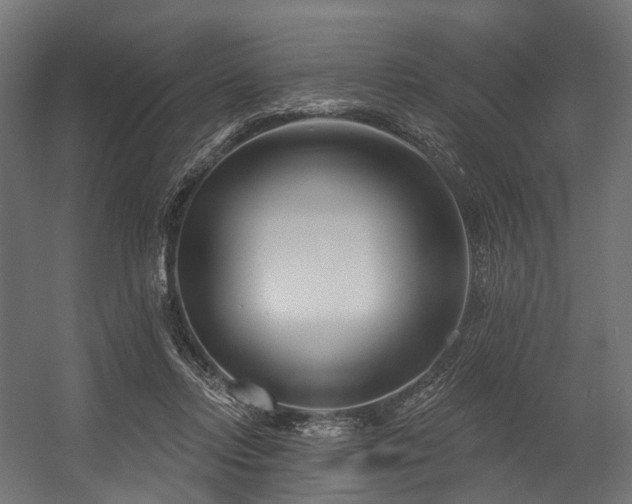 X0000054420358200507291255