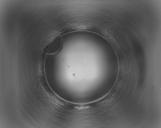 X0000054420359200507291255