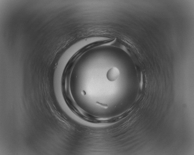 X0000054420362200507291255