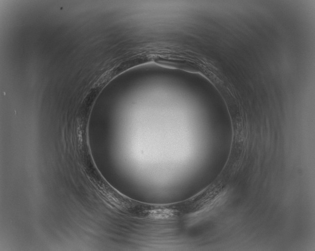 X0000054420363200507291255